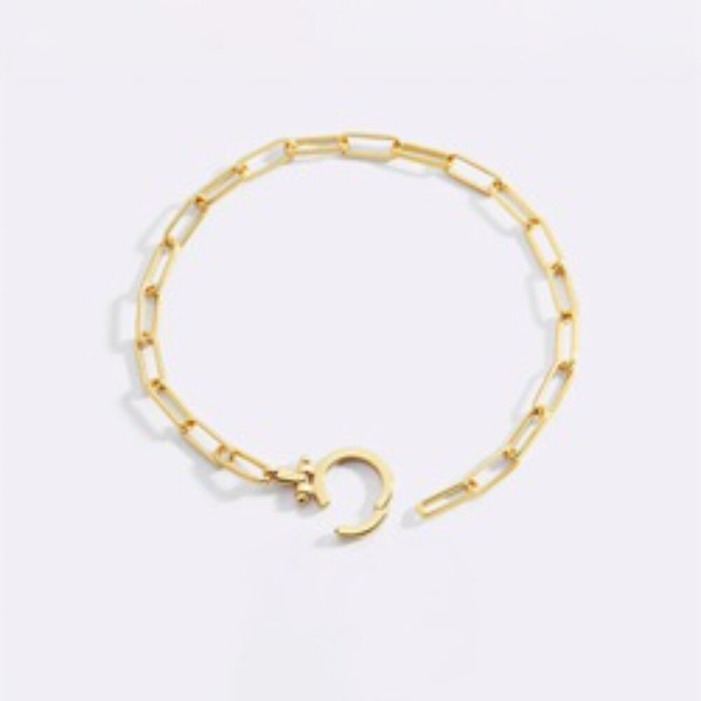 Mint & Lily Paperclip Bracelet